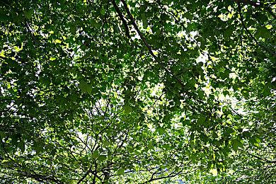 《沉没之城》开发商获得完整发行权 承诺将推新DLC